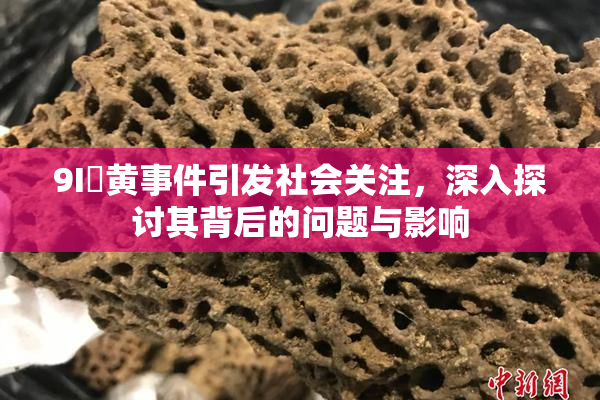 9I婬黄事件引发社会关注，深入探讨其背后的问题与影响