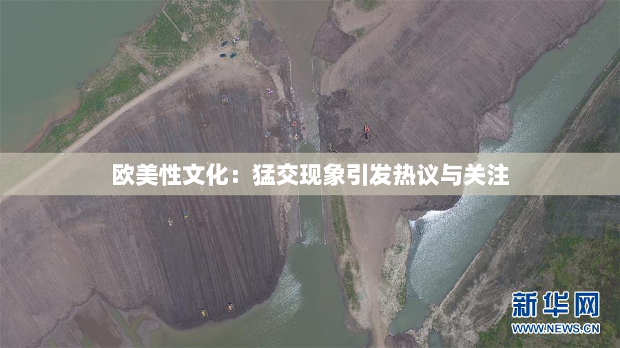 欧美性文化：猛交现象引发热议与关注