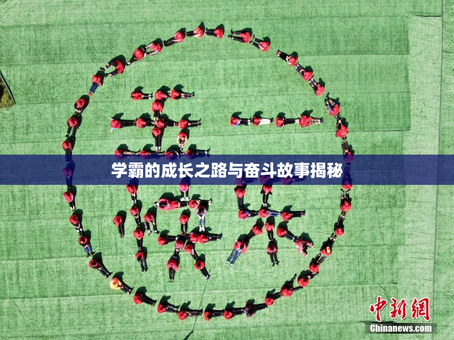 学霸的成长之路与奋斗故事揭秘