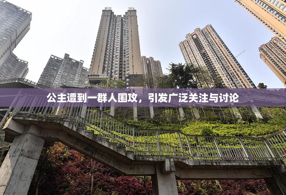 公主遭到一群人围攻，引发广泛关注与讨论