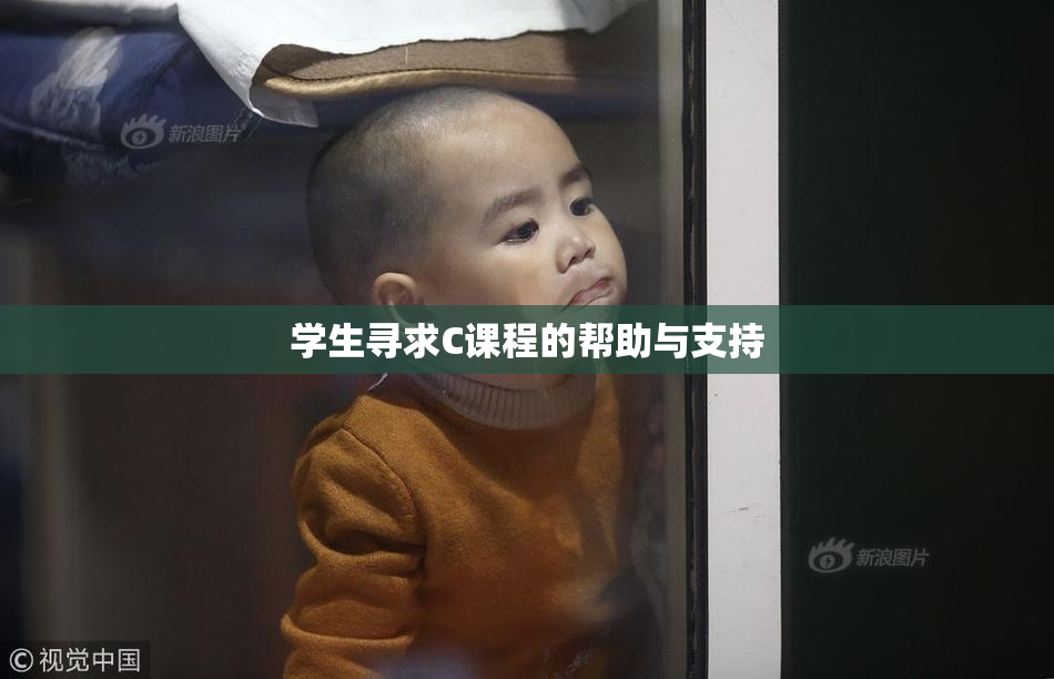 学生寻求C课程的帮助与支持