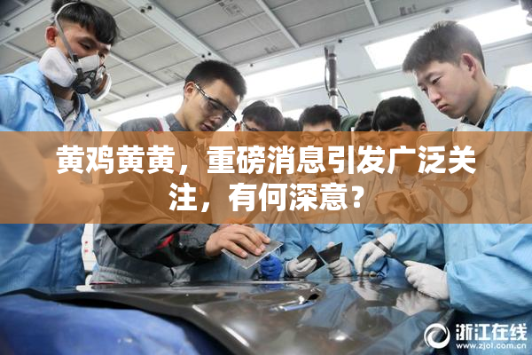 黄鸡黄黄，重磅消息引发广泛关注，有何深意？
