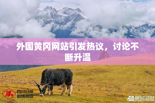 外国黄冈网站引发热议，讨论不断升温