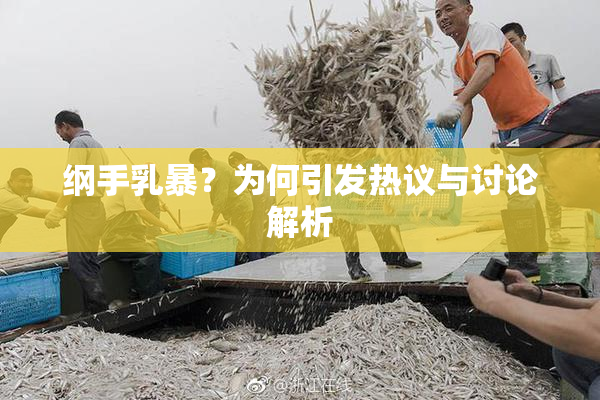 纲手乳暴？为何引发热议与讨论解析