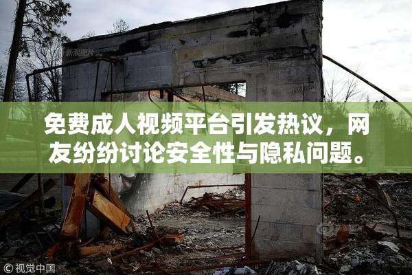 免费成人视频平台引发热议，网友纷纷讨论安全性与隐私问题。