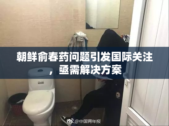 朝鲜俞春药问题引发国际关注，亟需解决方案