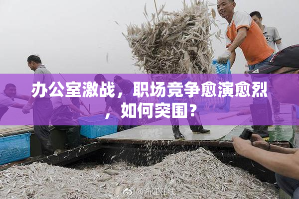 办公室激战，职场竞争愈演愈烈，如何突围？