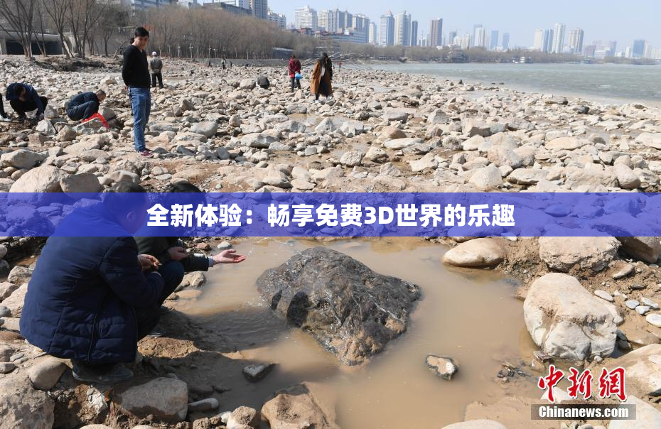 全新体验：畅享免费3D世界的乐趣