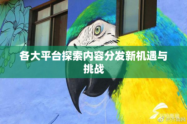 各大平台探索内容分发新机遇与挑战
