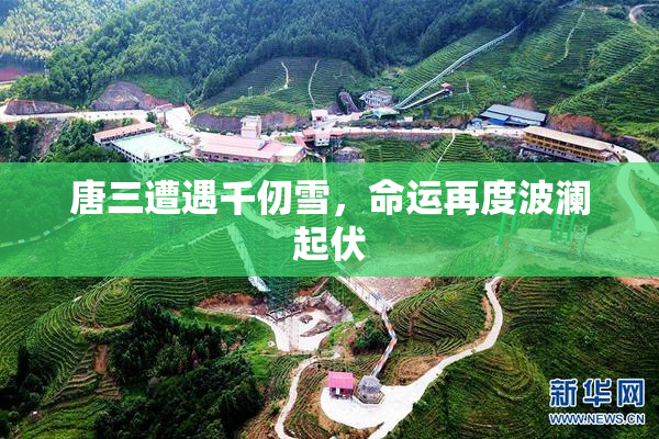唐三遭遇千仞雪，命运再度波澜起伏