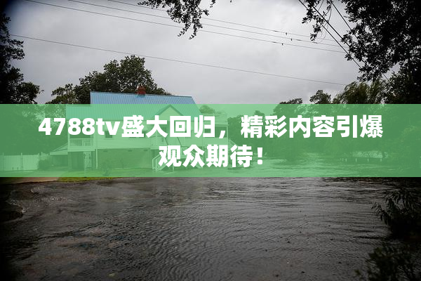 4788tv盛大回归，精彩内容引爆观众期待！