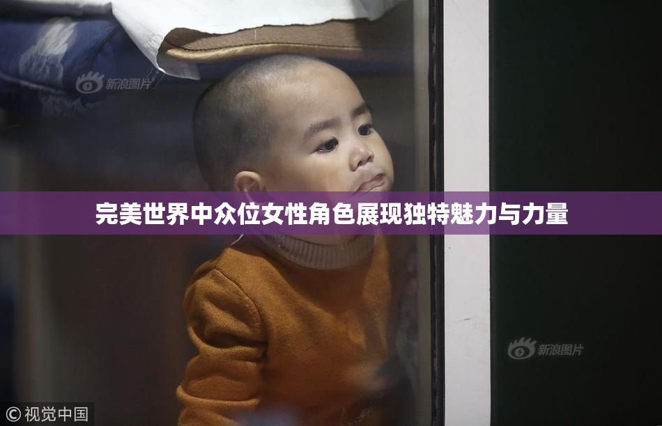 完美世界中众位女性角色展现独特魅力与力量