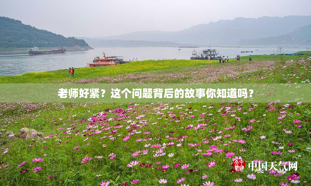 老师好紧？这个问题背后的故事你知道吗？