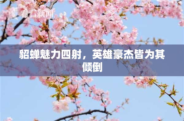 貂蝉魅力四射，英雄豪杰皆为其倾倒