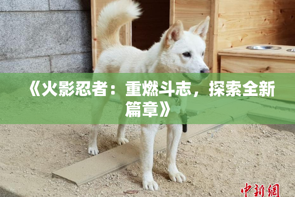 《火影忍者：重燃斗志，探索全新篇章》