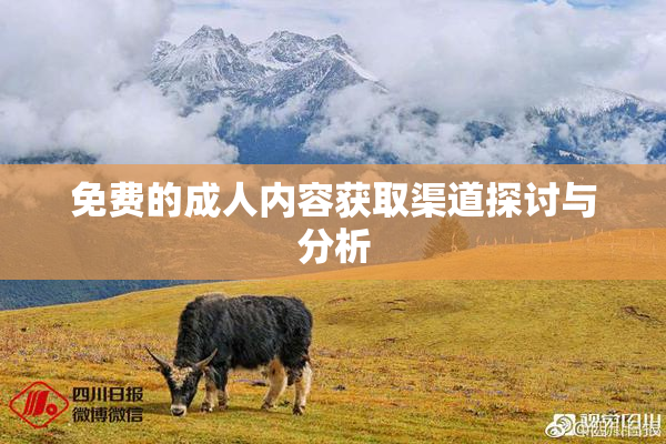 免费的成人内容获取渠道探讨与分析