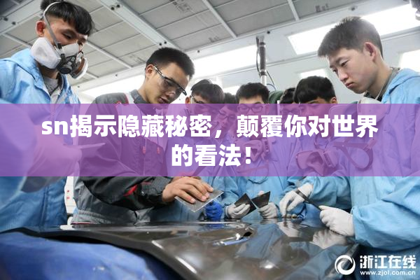 sn揭示隐藏秘密，颠覆你对世界的看法！