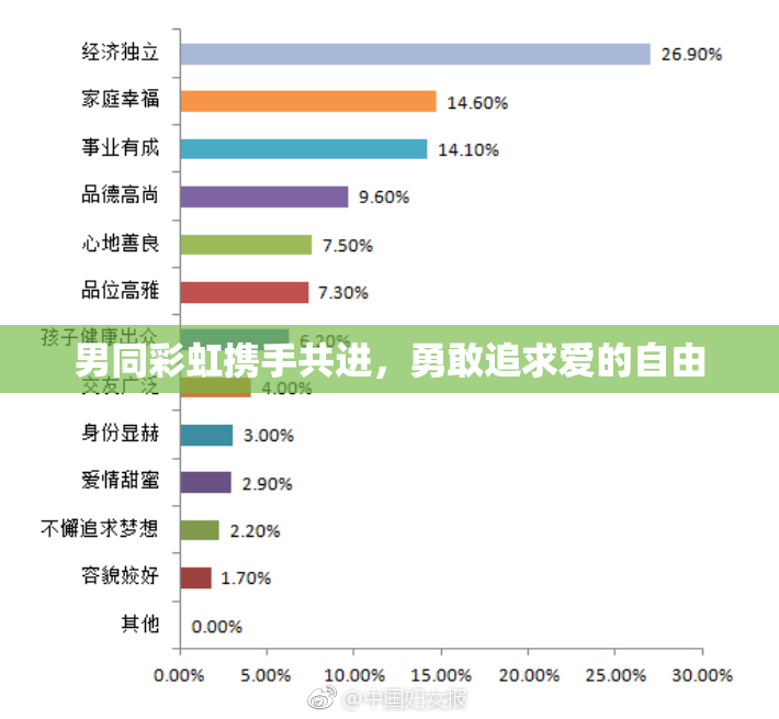 男同彩虹携手共进，勇敢追求爱的自由