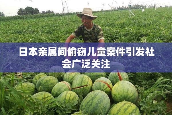 日本亲属间偷窃儿童案件引发社会广泛关注