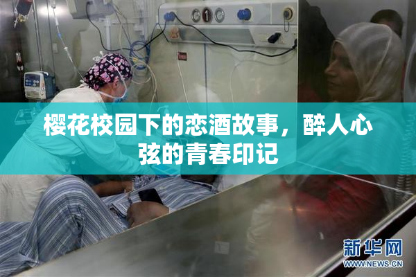 樱花校园下的恋酒故事，醉人心弦的青春印记