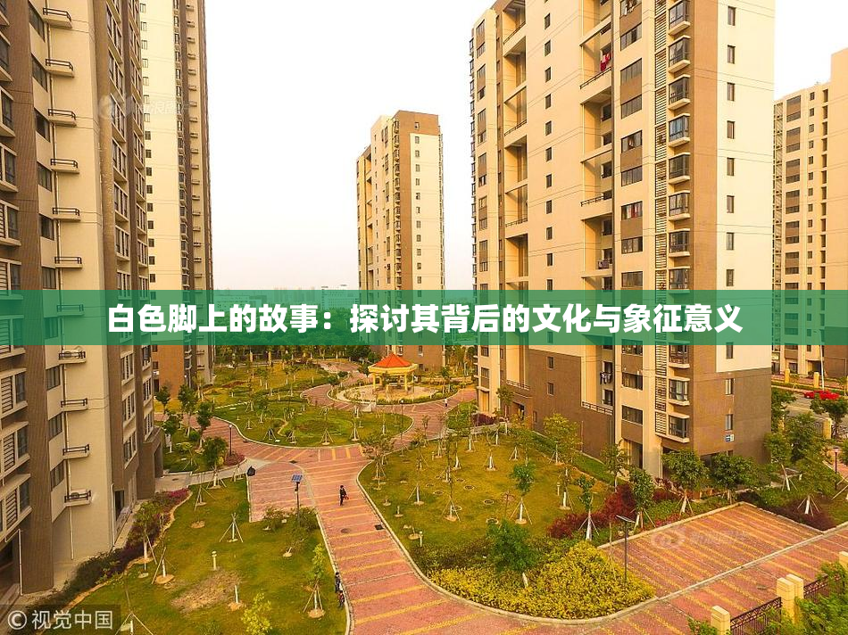 白色脚上的故事：探讨其背后的文化与象征意义