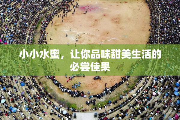 小小水蜜，让你品味甜美生活的必尝佳果