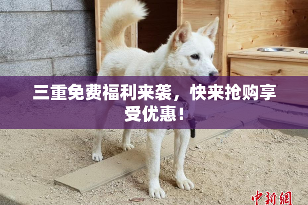三重免费福利来袭，快来抢购享受优惠！