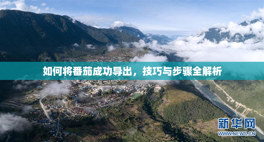 如何将番茄成功导出，技巧与步骤全解析