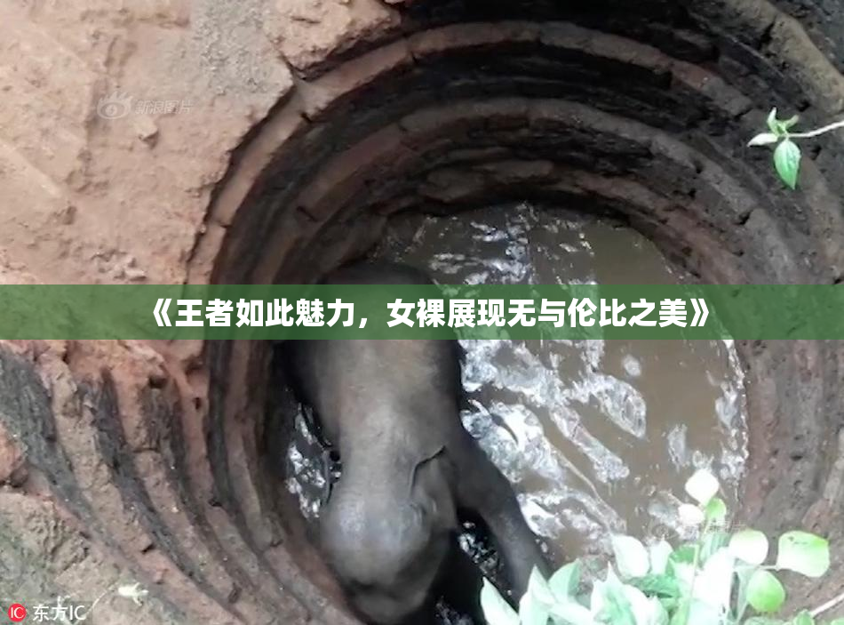 《王者如此魅力，女裸展现无与伦比之美》