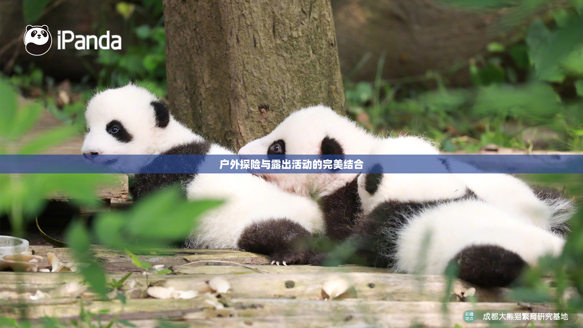 户外探险与露出活动的完美结合
