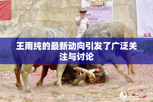 王雨纯的最新动向引发了广泛关注与讨论
