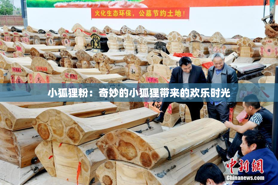 小狐狸粉：奇妙的小狐狸带来的欢乐时光