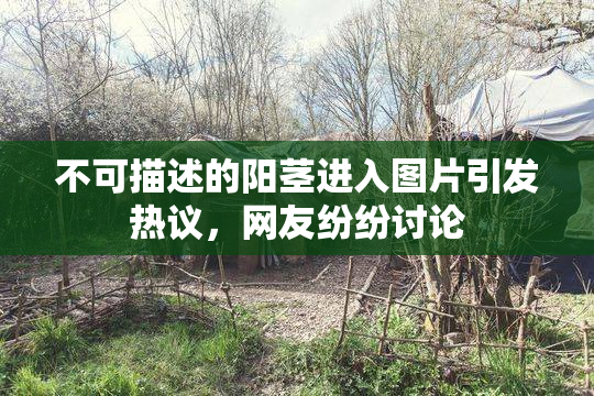 不可描述的阳茎进入图片引发热议，网友纷纷讨论