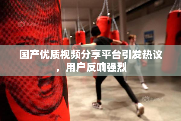 国产优质视频分享平台引发热议，用户反响强烈