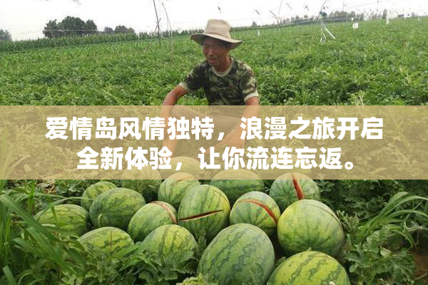 爱情岛风情独特，浪漫之旅开启全新体验，让你流连忘返。