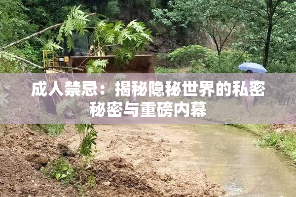 成人禁忌：揭秘隐秘世界的私密秘密与重磅内幕