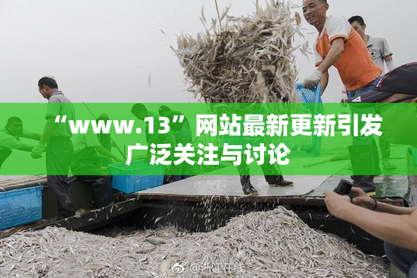 “www.13”网站最新更新引发广泛关注与讨论