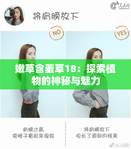 嫩草含羞草18：探索植物的神秘与魅力