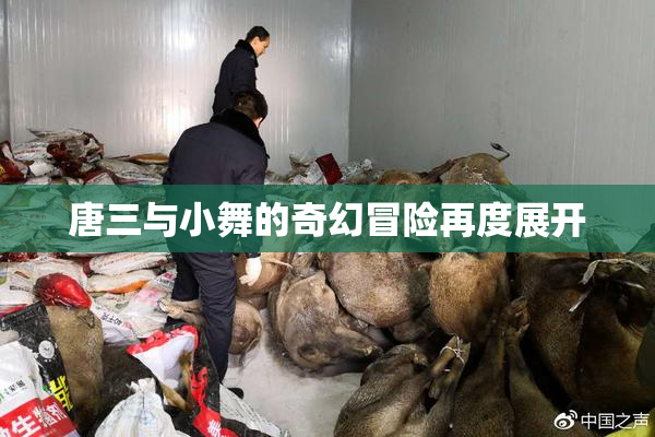 唐三与小舞的奇幻冒险再度展开