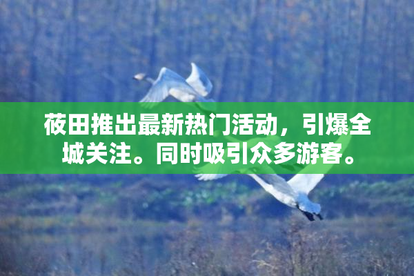 莜田推出最新热门活动，引爆全城关注。同时吸引众多游客。