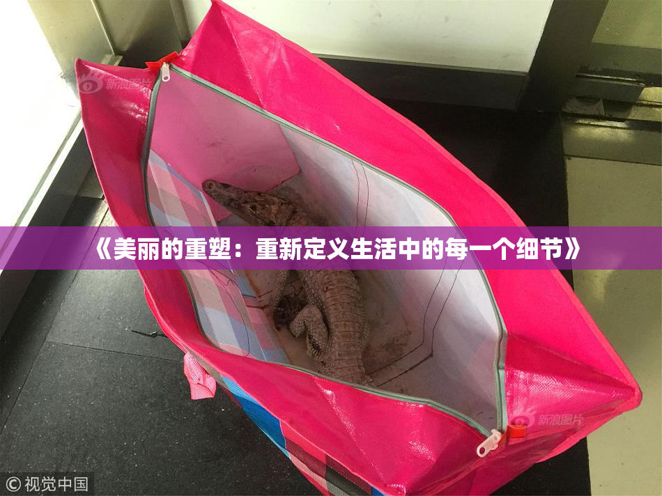 《美丽的重塑：重新定义生活中的每一个细节》