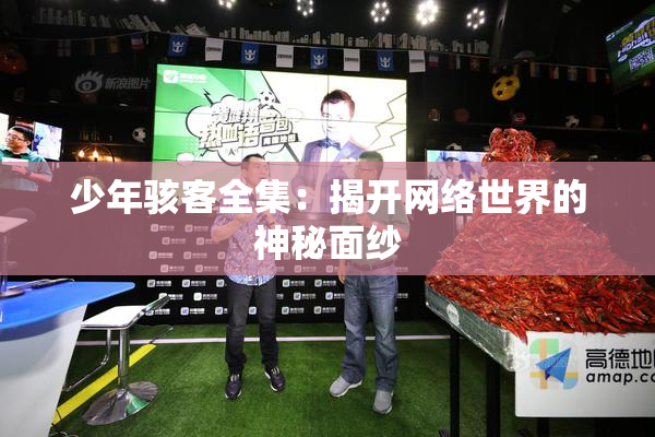 少年骇客全集：揭开网络世界的神秘面纱