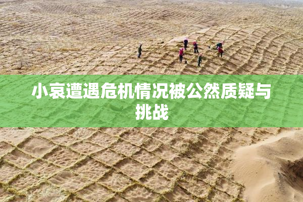 小哀遭遇危机情况被公然质疑与挑战