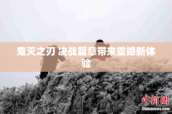 鬼灭之刃 决战篇章带来震撼新体验