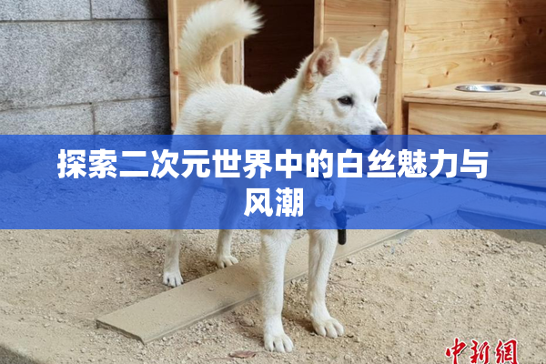 探索二次元世界中的白丝魅力与风潮
