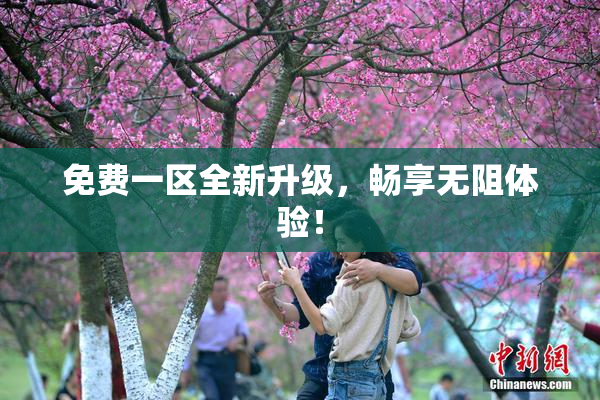 免费一区全新升级，畅享无阻体验！