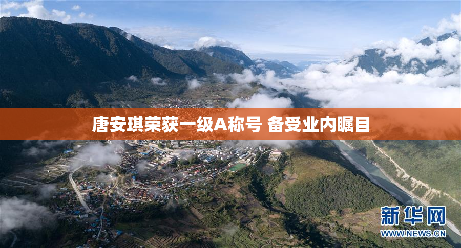 唐安琪荣获一级A称号 备受业内瞩目