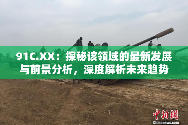 91C.XX：探秘该领域的最新发展与前景分析，深度解析未来趋势！