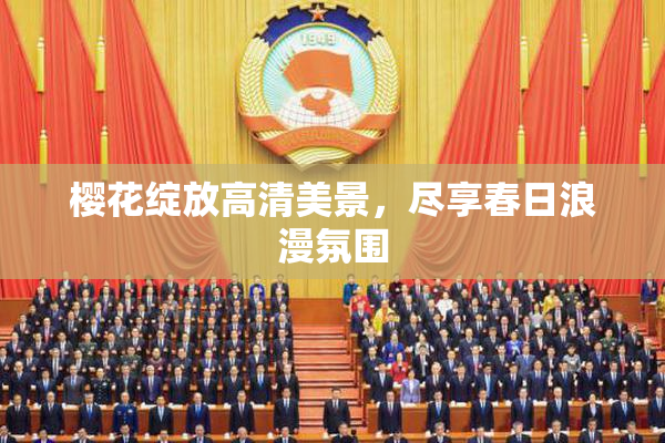 樱花绽放高清美景，尽享春日浪漫氛围