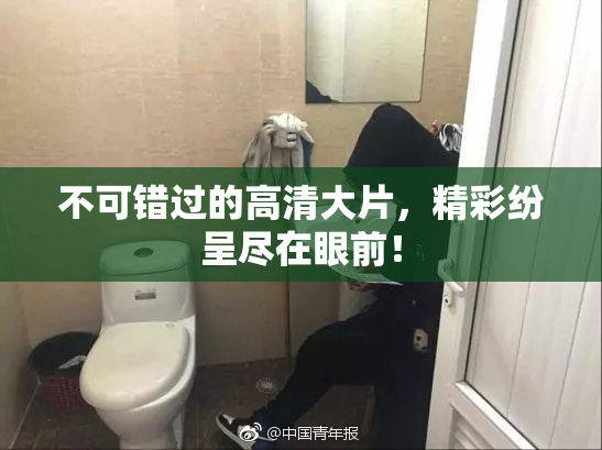 不可错过的高清大片，精彩纷呈尽在眼前！